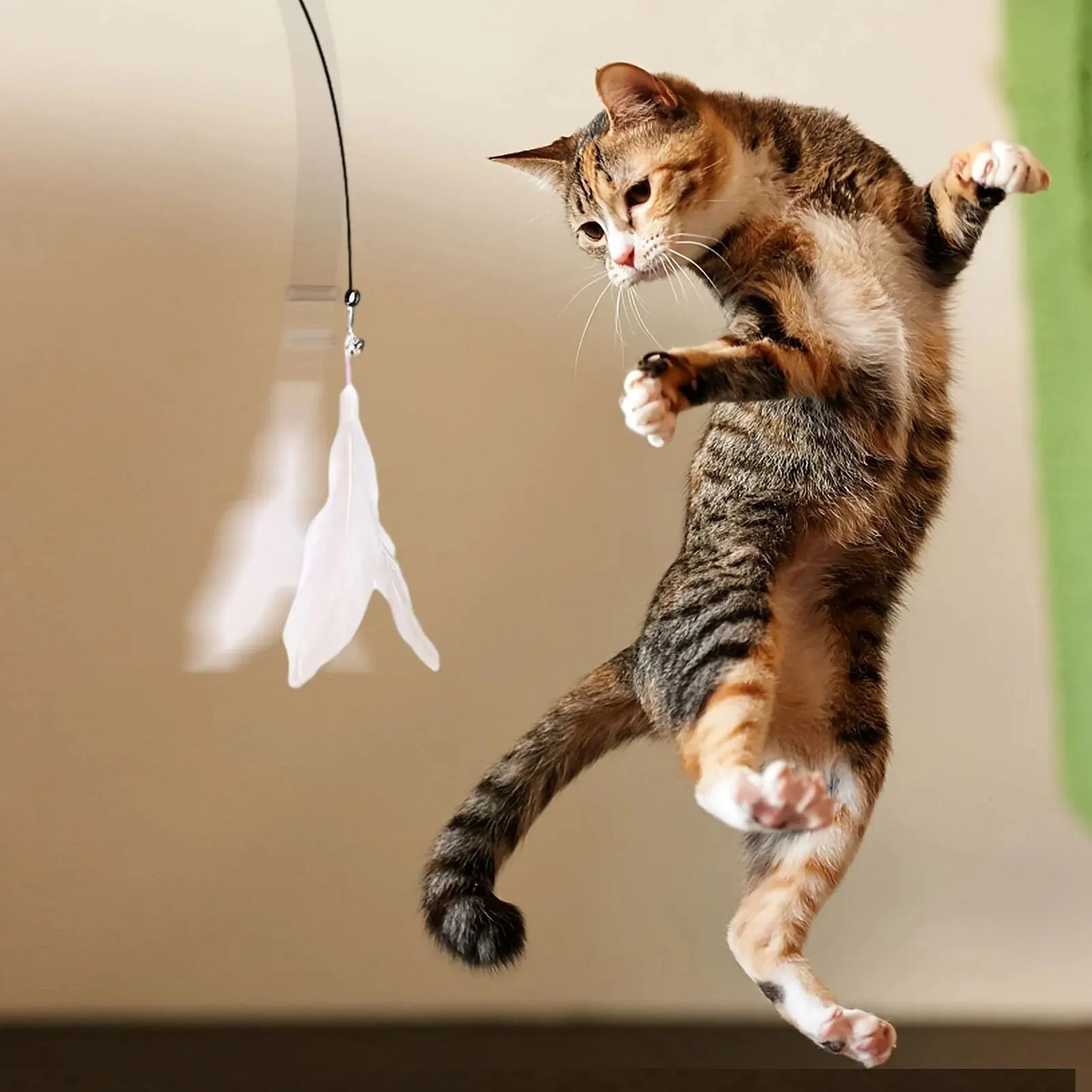 Cat feather toy | Prevent destructive behavior, such as scratching furniture