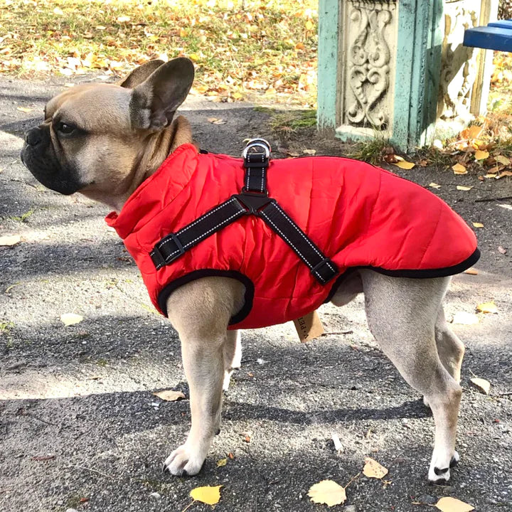 PawProof Winter Vest | Keep your dog warm and in style!