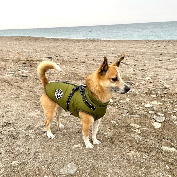 PawProof Winter Vest | Keep your dog warm and in style!