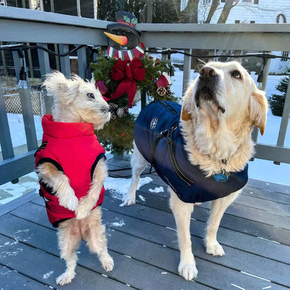 PawProof Winter Vest | Keep your dog warm and in style!