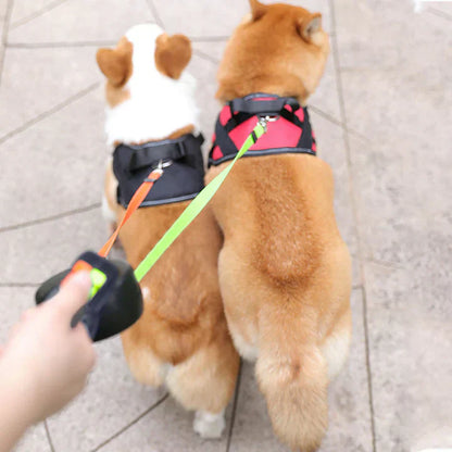 PawControl | Beheers Uw Wandeling met Twee Honden in Één Hand!