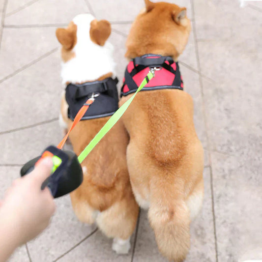 PawControl | Beheers Uw Wandeling met Twee Honden in Één Hand!