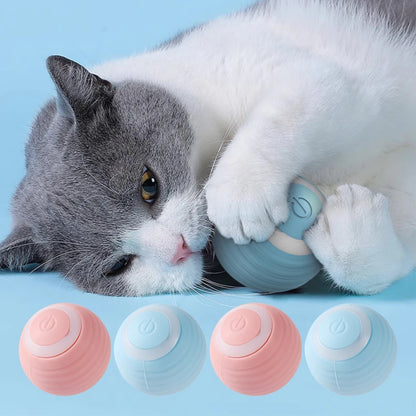 Interactive Cat Ball | Keeps cats active and prevents boredom