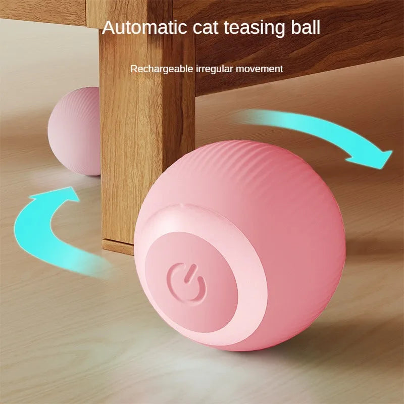 Interactive Cat Ball | Keeps cats active and prevents boredom