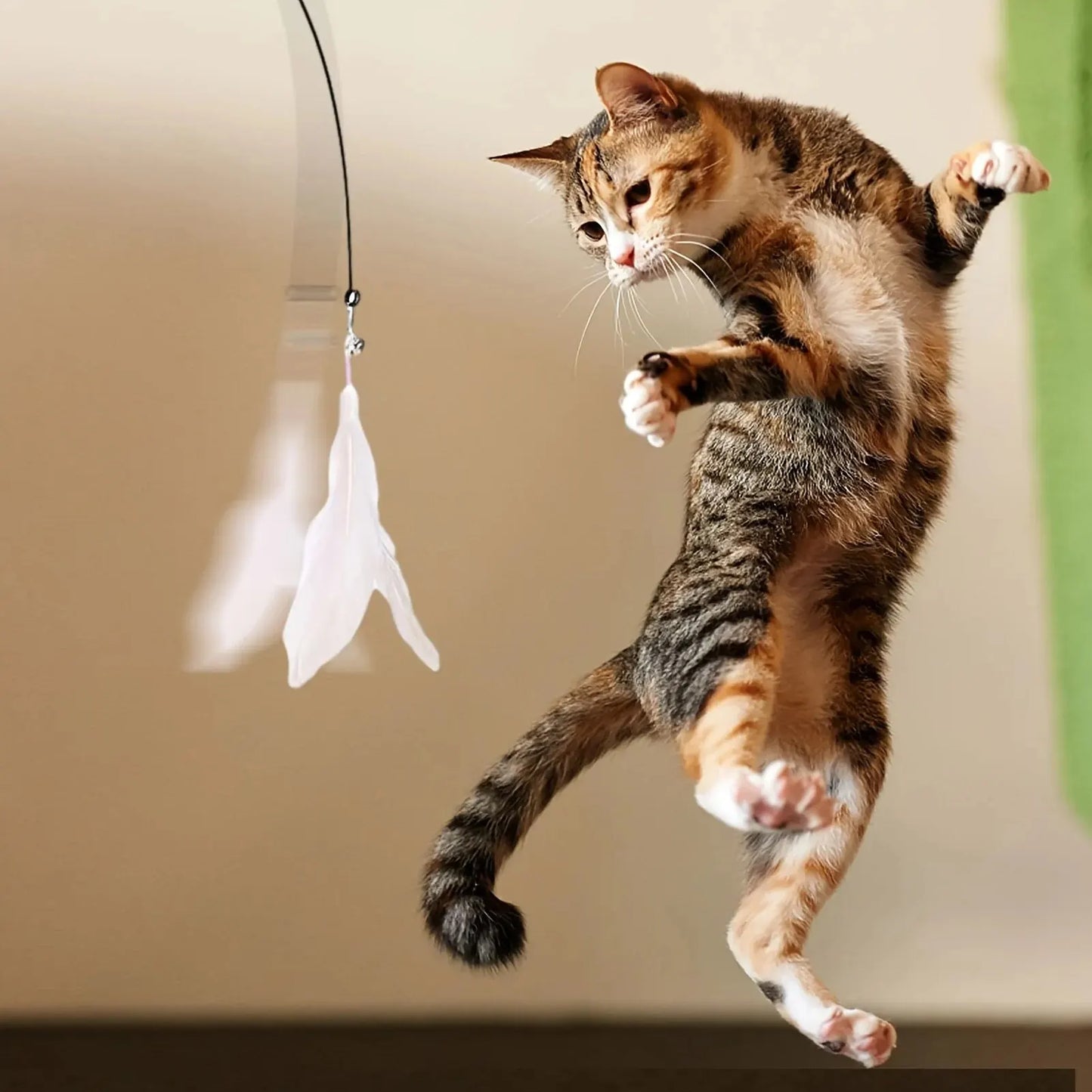 Cat feather toy | Prevent destructive behavior, such as scratching furniture 