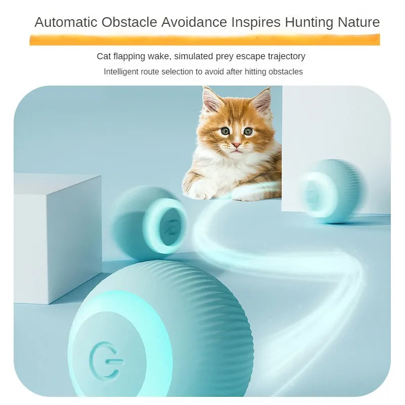 Interactive Cat Ball | Keeps cats active and prevents boredom