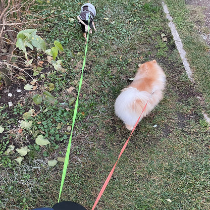 PawControl | Beheers Uw Wandeling met Twee Honden in Één Hand!
